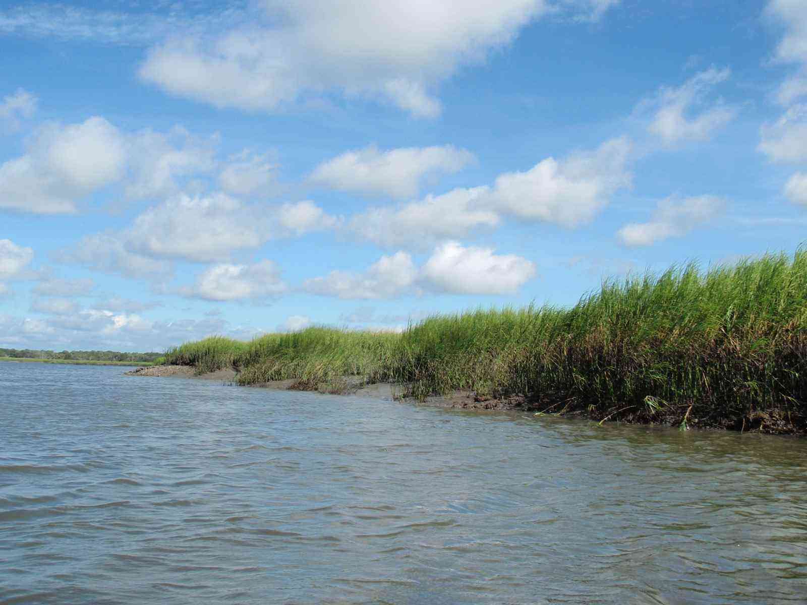 Foundation Repair In Montgomery, Ga 1 Tidal creek winding through a coastal georgia marsh