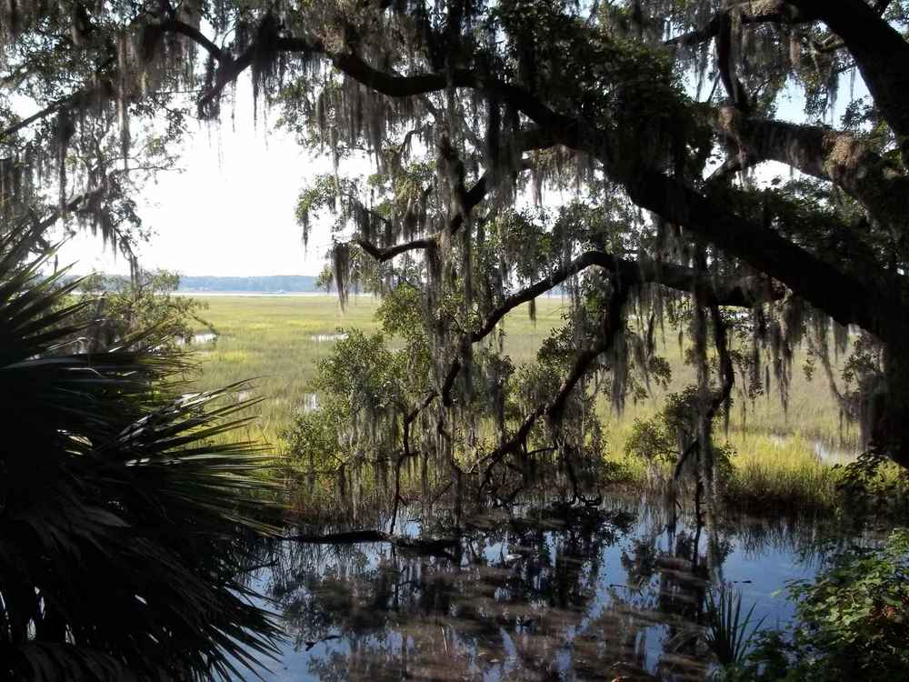 Foundation Repair In White Bluff, Ga 1 Salt marsh along the vernon river near white bluff, savannah, ga